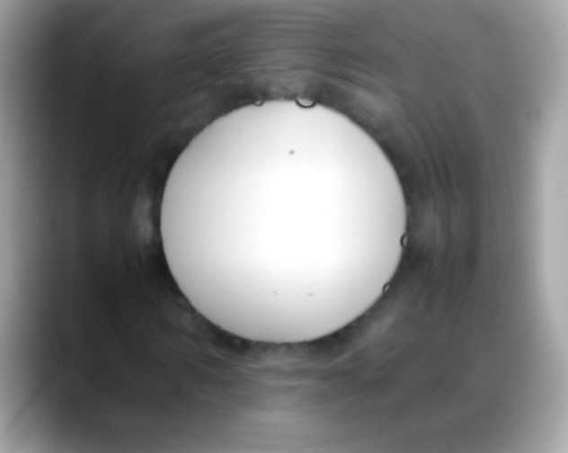 X0000088050962200706011339