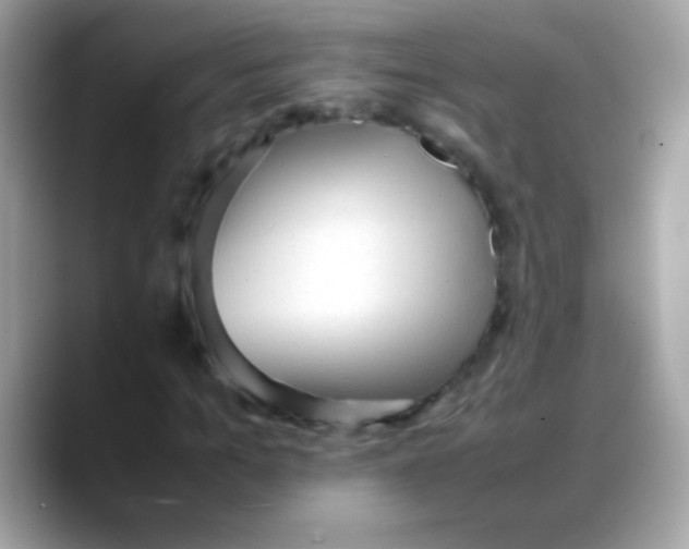 X0000088050965200706011339