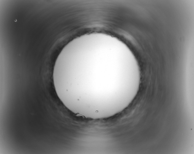 X0000088050967200706011339