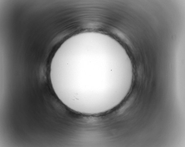 X0000088050970200706011339