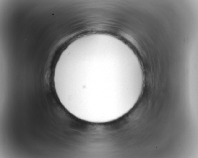 X0000088050971200706011339