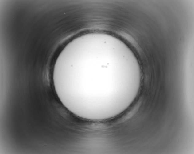 X0000088050974200706011339