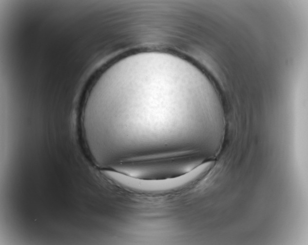 X0000088050975200706011339