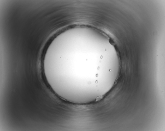 X0000088050976200706011339