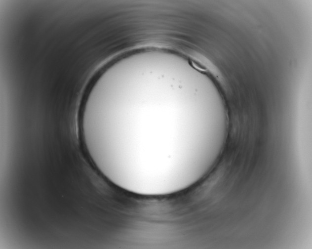 X0000088050980200706011339