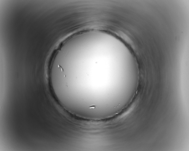 X0000088050981200706011339