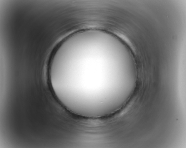 X0000088050983200706011339
