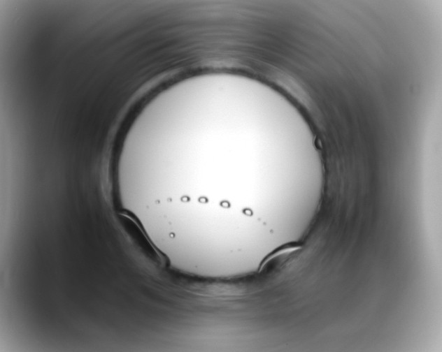 X0000088050984200706011339