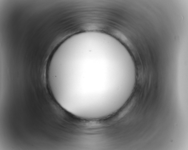 X0000088050986200706011339