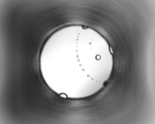 X0000088050988200706011339
