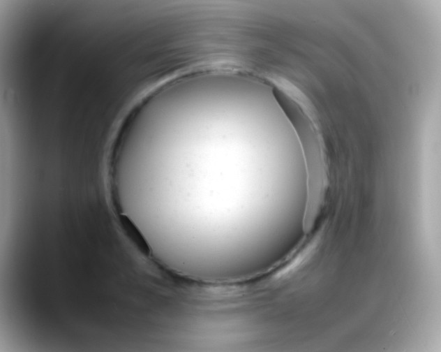 X0000088050989200706011339