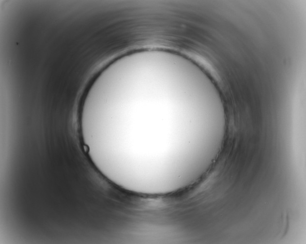 X0000088050990200706011339