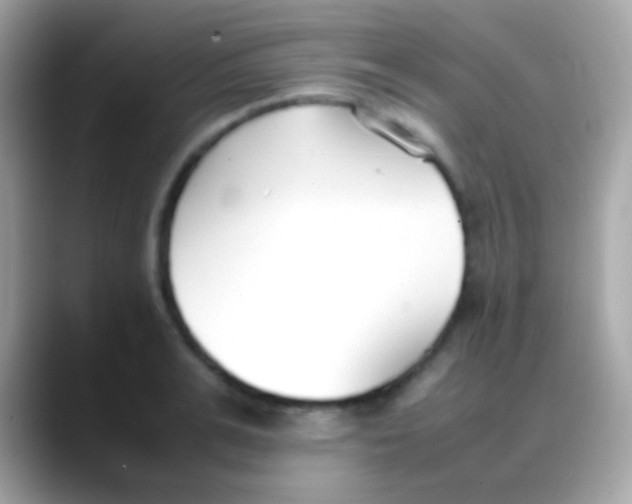 X0000088050991200706011339