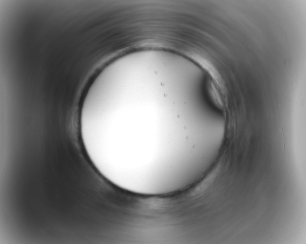 X0000088050992200706011339