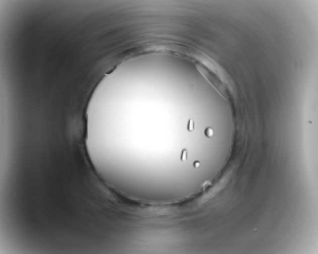 X0000088050993200706011339