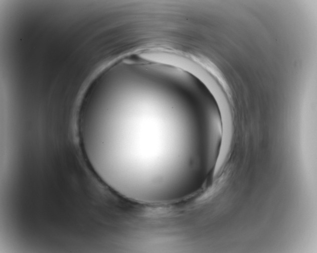 X0000088050997200706011339