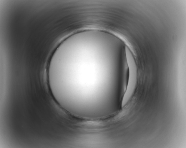 X0000088050998200706011339