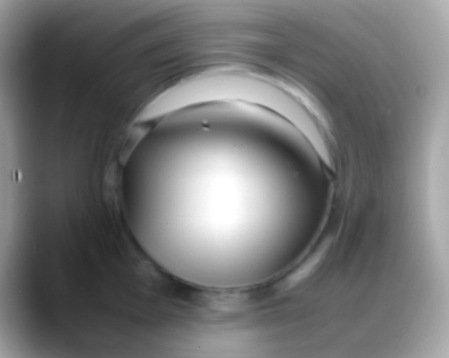 X0000088051001200706011339