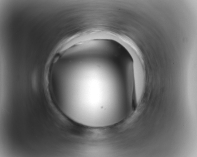 X0000088051005200706011339