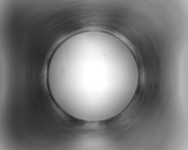 X0000088051006200706011339