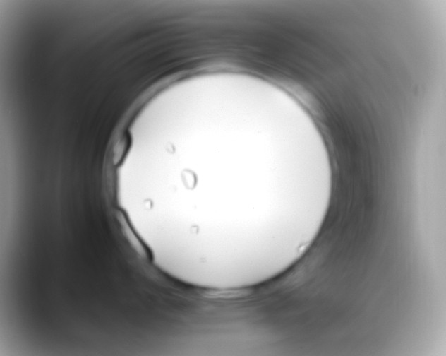 X0000088051008200706011339