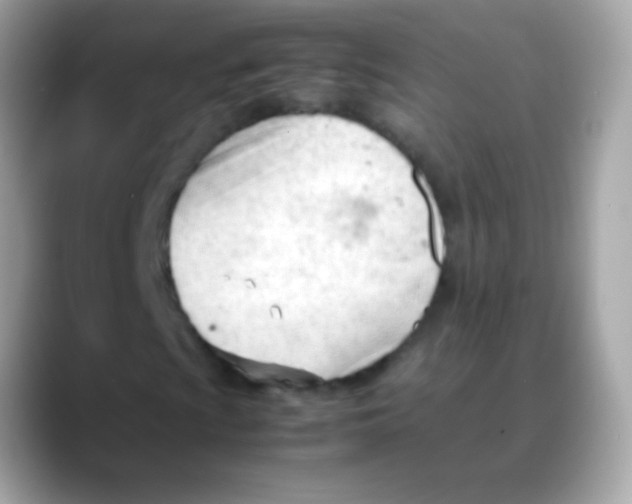 X0000088051009200706011338