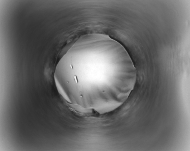 X0000088051010200706011338