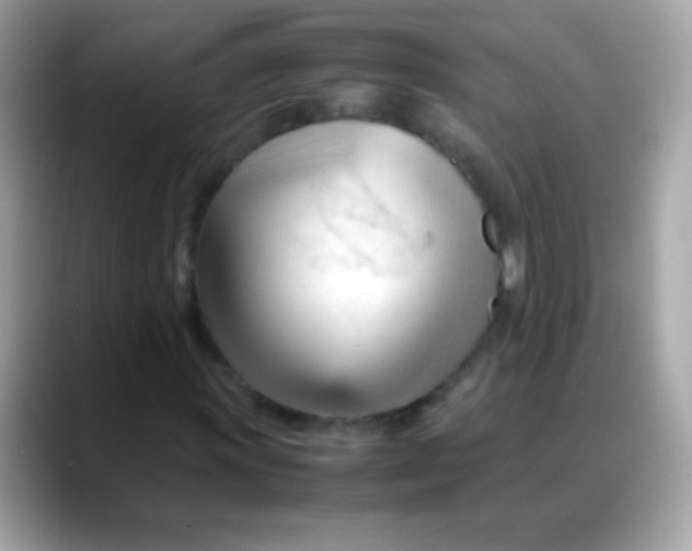 X0000088051011200706011338