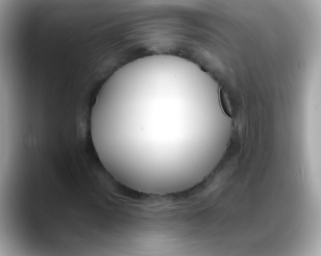 X0000088051012200706011338