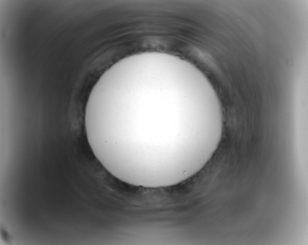 X0000088051015200706011338