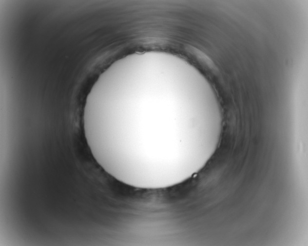 X0000088051016200706011338