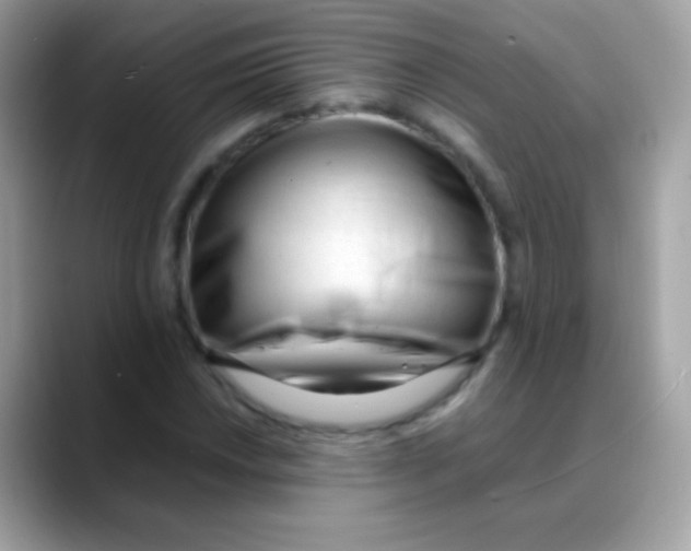 X0000088051018200706011338