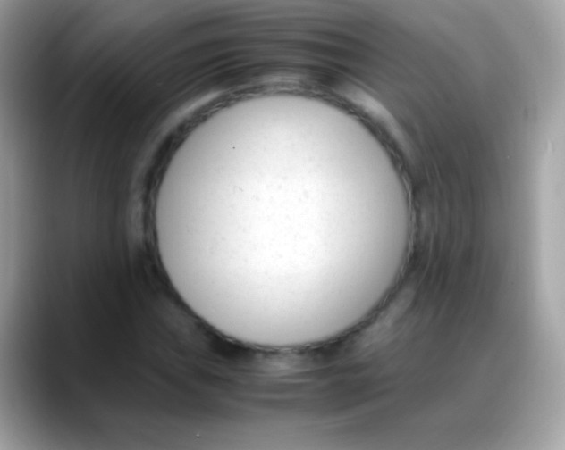 X0000088051019200706011338