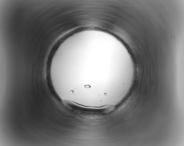X0000088051020200706011338