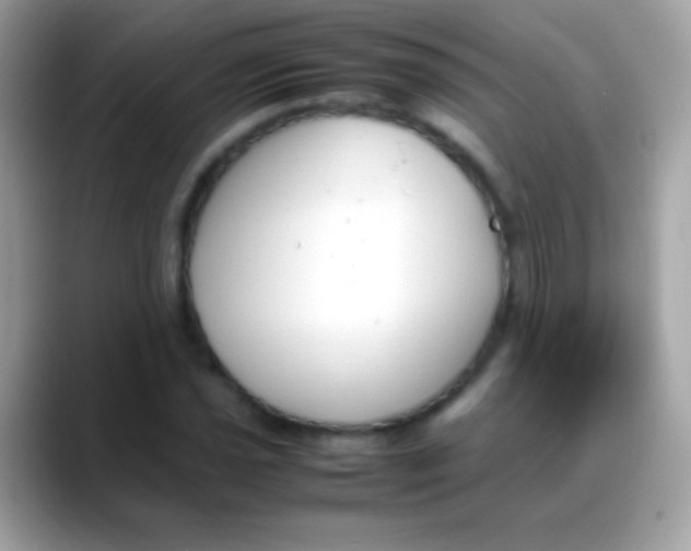 X0000088051021200706011338