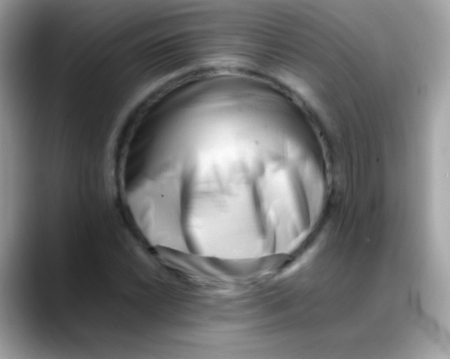 X0000088051022200706011338