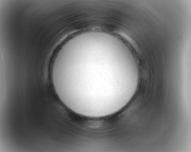 X0000088051023200706011338