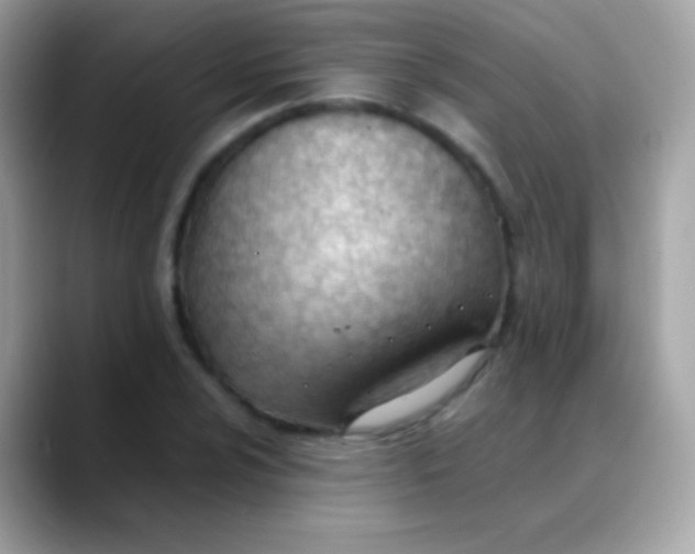 X0000088051024200706011338