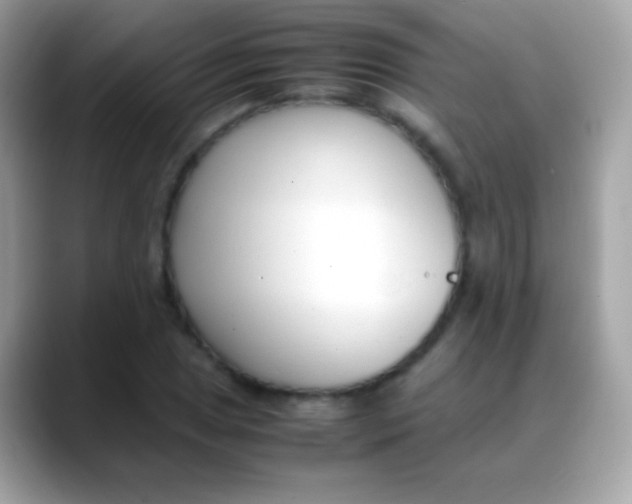 X0000088051025200706011338