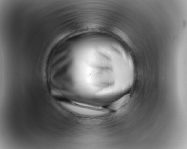 X0000088051026200706011338