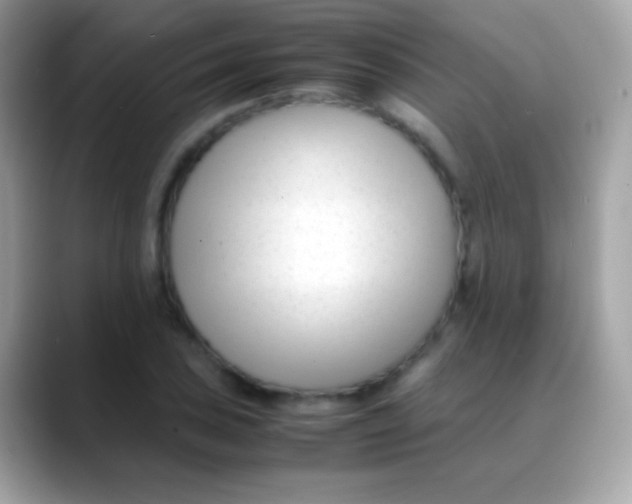 X0000088051027200706011338