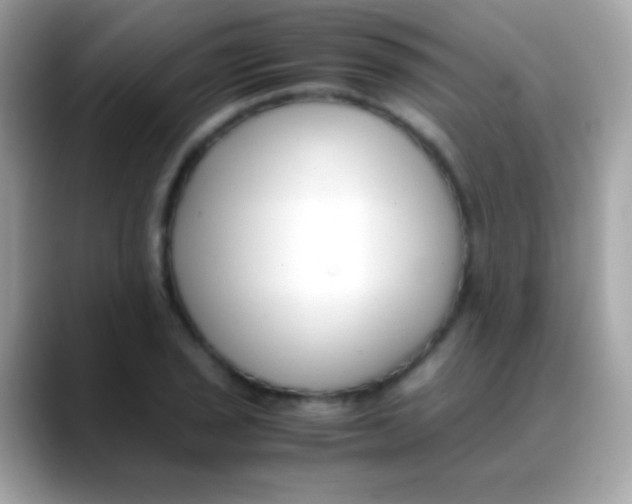 X0000088051029200706011338