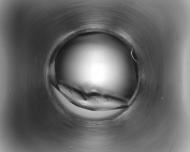X0000088051030200706011338