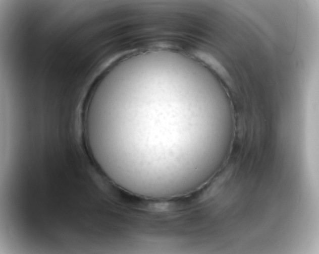 X0000088051031200706011338
