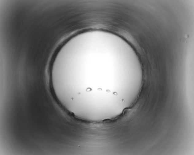X0000088051032200706011338