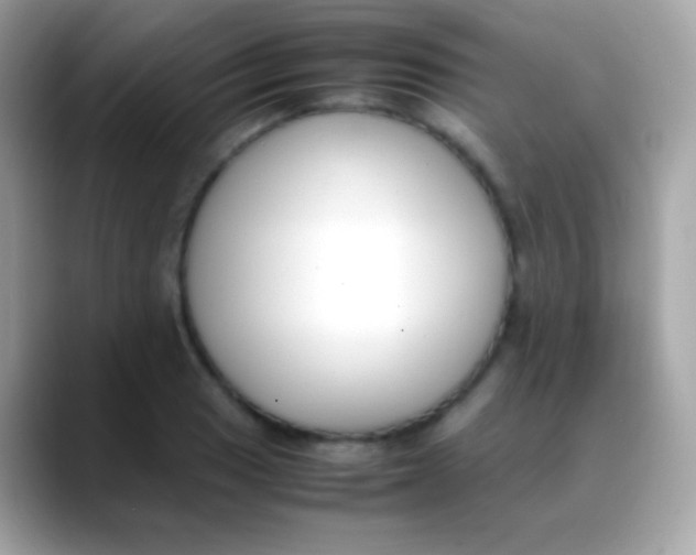 X0000088051033200706011338