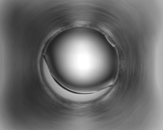 X0000088051034200706011338