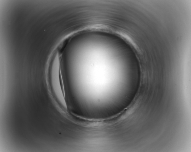 X0000088051038200706011338