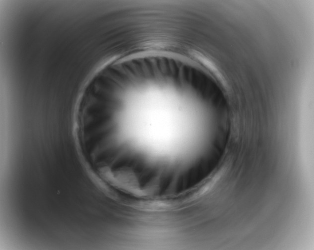 X0000088051042200706011338
