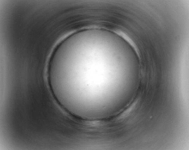 X0000088051045200706011338